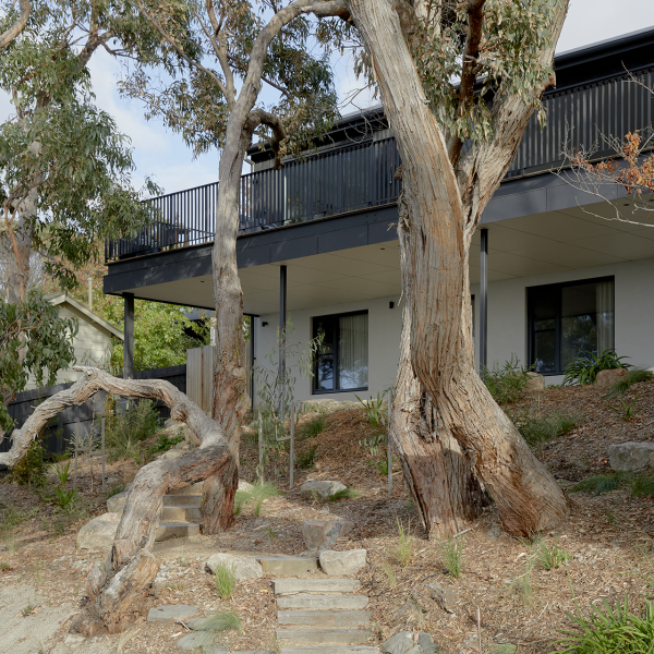 Lorne BOA & Quinn HR 15